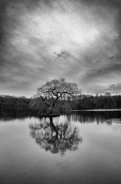 Mill pond at the Holt mill