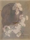 Silence van Marianna Geraci thumbnail