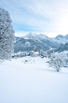 Winteruitzicht vanaf de Walmedinger Horn in Kleinwalsertal van Leo Schindzielorz