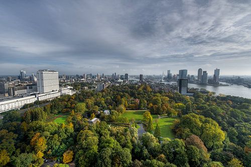 Herfst in Rotterdam