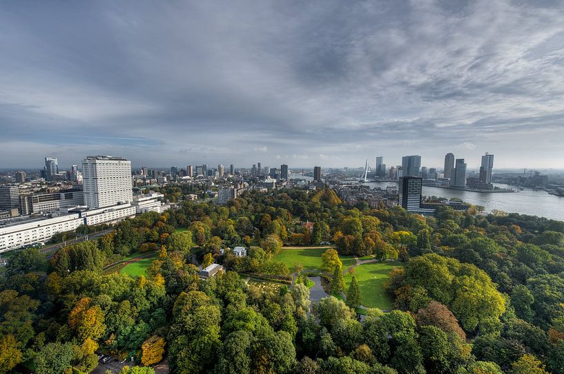 L'automne à Rotterdam par Esther Seijmonsbergen