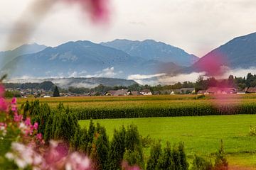 L'éveil en Slovénie sur Louise Poortvliet