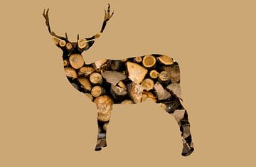 Deer by Fela le Blanc