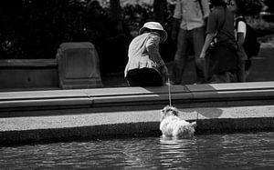 Hund im Central Park New York City von Marcel Kerdijk