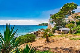 Wunderschöne Insellandschaft, Küstenlinie von Sant Elm mit idyllischem Meerblick von Alex Winter