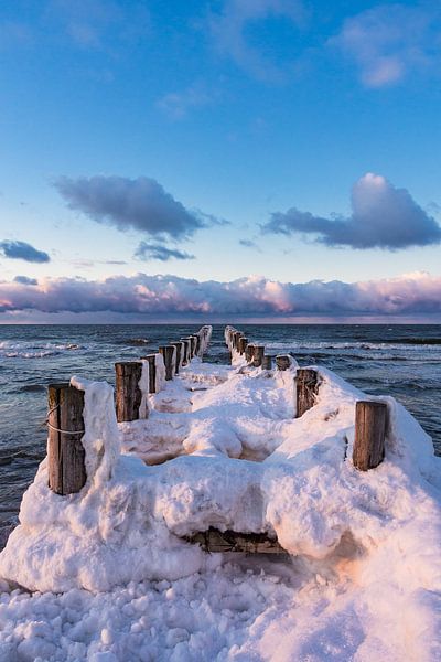 Buhne an der Ostseeküste bei Zingst im Winter von Rico Ködder