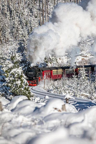 Die Brockenbahn - Mit Volldampf zum Brocken von t.ART