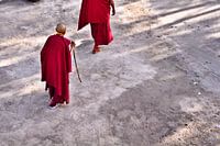 Monks
