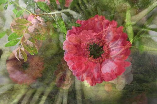 Abstracte fotografie | Abstract expressionisme | Modern abstract | Roze gerbera start van een nieuw begin