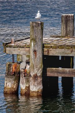 Jetty in the harbour of Sassnitz by Rob Boon