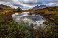 Isle of Skye in Schotland van Steven Dijkshoorn thumbnail