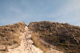 Schoorlse duinen by David Klumperman