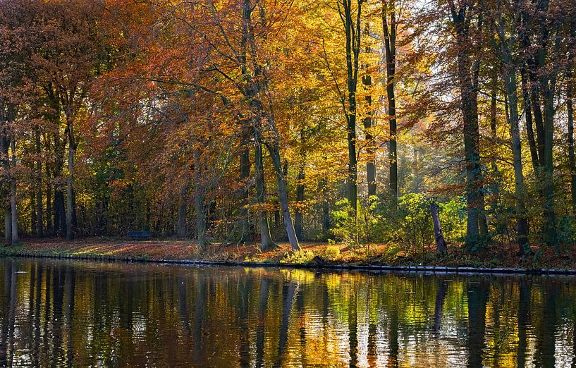 De ochtendzon schijnt door het Haase Bos in herfsttooi van Rob IJsselstein