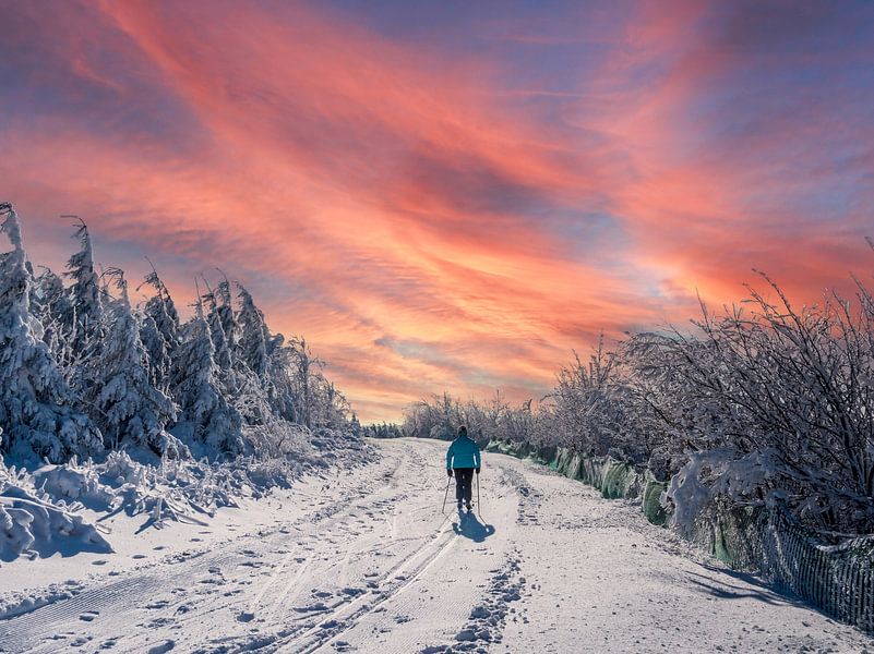 Cross-country skiing in the Erzgebirge winter sports region on the Fichtelberg by Animaflora PicsStock