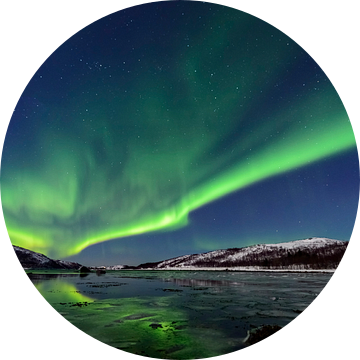 Noorderlicht, poollicht of Aurora Borealis over het eiland Senja in Noord-Noorwegen van Sjoerd van der Wal Fotografie
