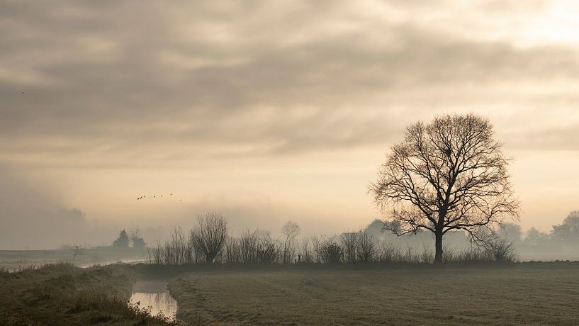 Mistig Midden-Delfland in de vroege ochtend van Bas Ronteltap