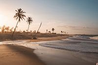 Beach Cumbuco Brazil