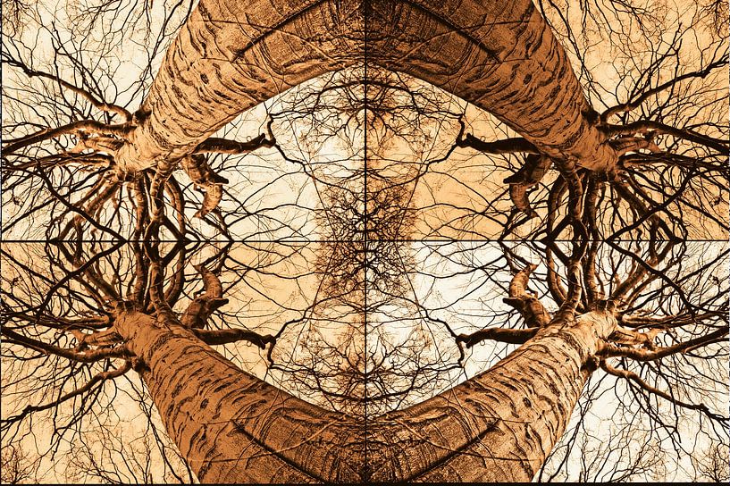 kaleidoscopic view of tree in sepia by Miny'S