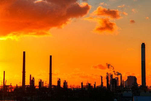 Man-made Giants van Patrick Teeling