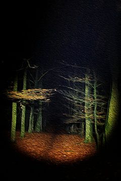 test photo sur danny nijhuis