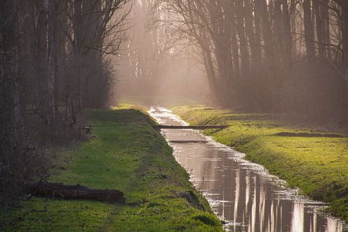 Eind van de lijn van FotoGraaG Hanneke