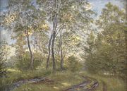 Een rivier bij kasteel Meilgård, Jutland, Theodor Philipsen van Meesterlijcke Meesters thumbnail