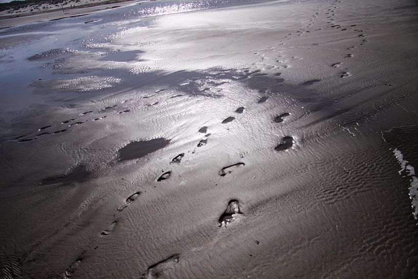 Strand detail van de Nederlandse kust van Peter van Weel