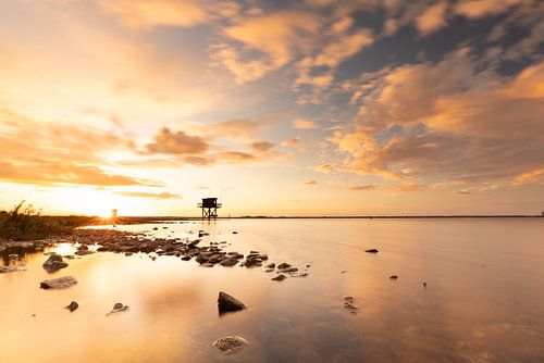Gouden licht over Grevelingen van Louise Poortvliet