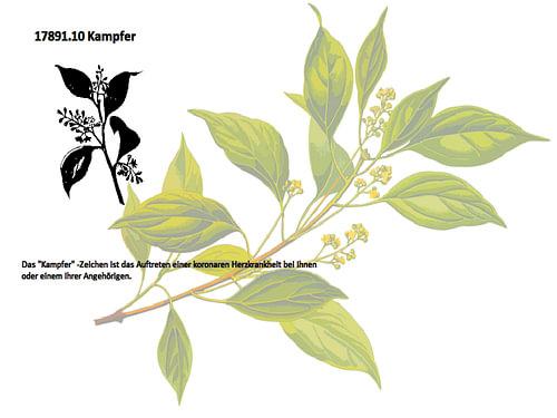 Camphor 17891.10