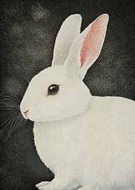 Rabbit by Niklas Maximilian