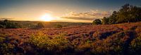 Zonsopkomst Veluwe