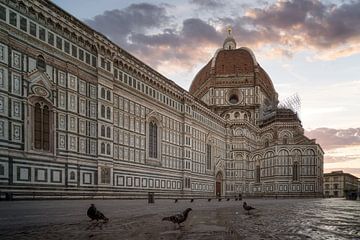 Duiven bij de Duomo van Florence - Italie