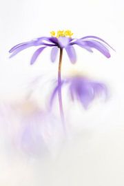 Mein Moment von Bob Daalder