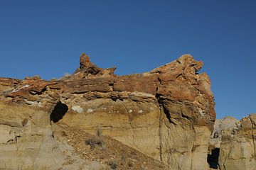 De-na-zin wilderness area- petrified wood, Bisti badlands, New Mexico USA by Frank Fichtmüller