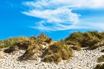 Zomers dromen op de duinen in Denemarken van Silva Wischeropp