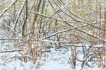 Broekpolder, Vlaardingen : la forêt de Micado sous la neige