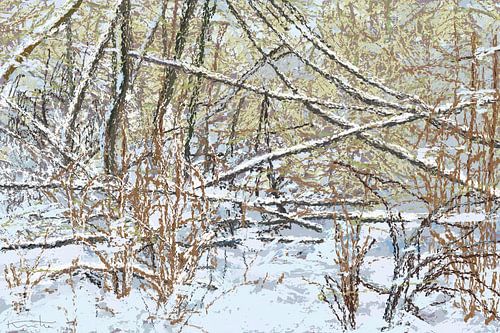 Broekpolder Vlaardingen: Micado-Wald im Schnee