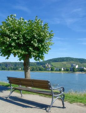 Blick von der Rheinpromenade in Bad Breisig von Peter Eckert