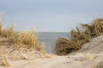 Vlieland-Dünen von Micha Ploeger fotografie