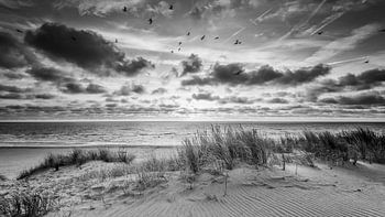 coucher de soleil dans les dunes