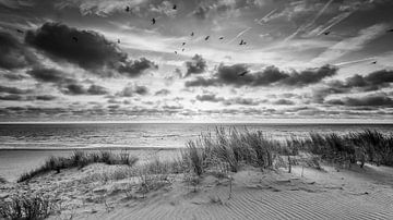sunset at the dunes by Martijn Kort