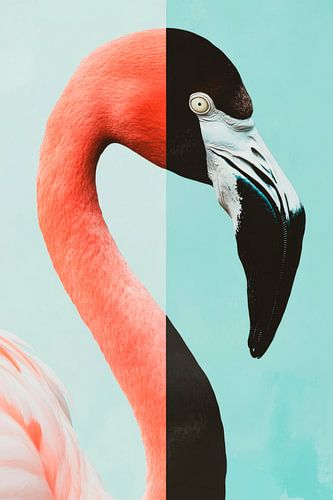 Flamingo in felle kleuren