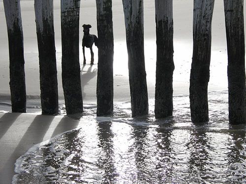 Coincé derrière un brise-lames empilé