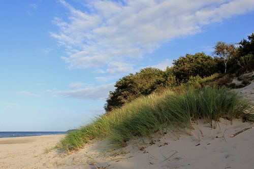 Dünenlandschaft an der Ostsee