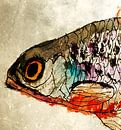 Fish by Kay Weber thumbnail