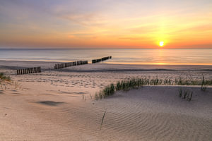 Düne mit Pfählen