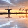 Dutch windmill at beautiful sunrise, the Netherlands by Olha Rohulya