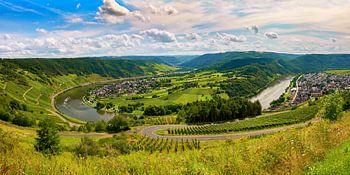 The Moselle near Kröv and Traben-Trarbach