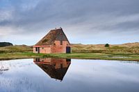 Weerspiegeling van een boet op Texel