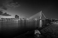 The skyline van Rotterdam met de Erasmusbrug (zwart-wit) bij zonsondergang van noeky1980 photography thumbnail